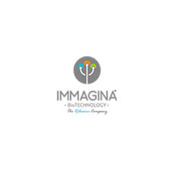 Immagina